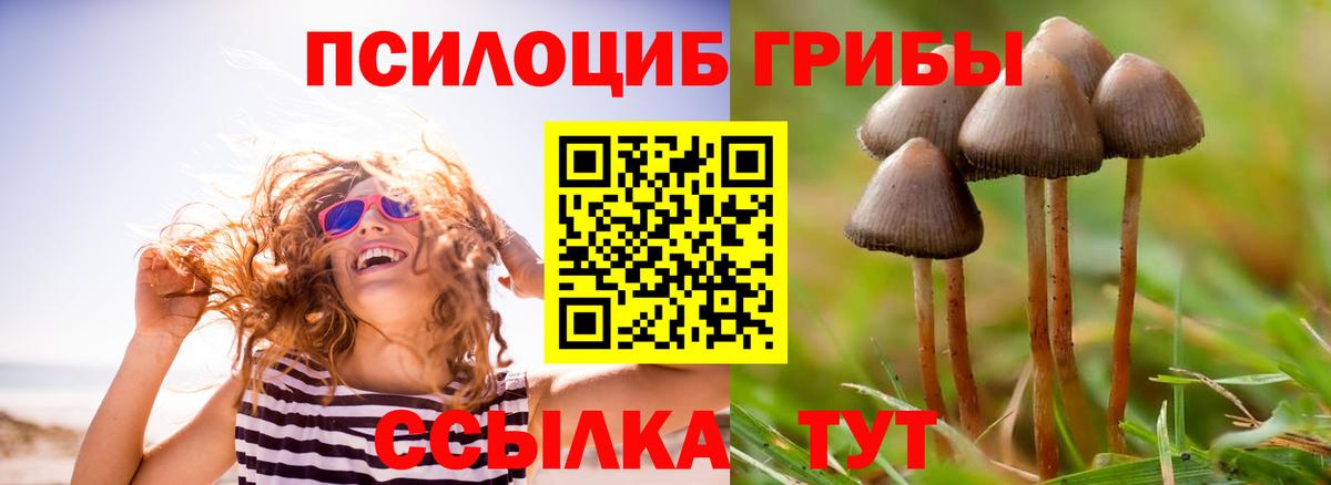 Псилоцибиновые грибы мицелий Чусовой